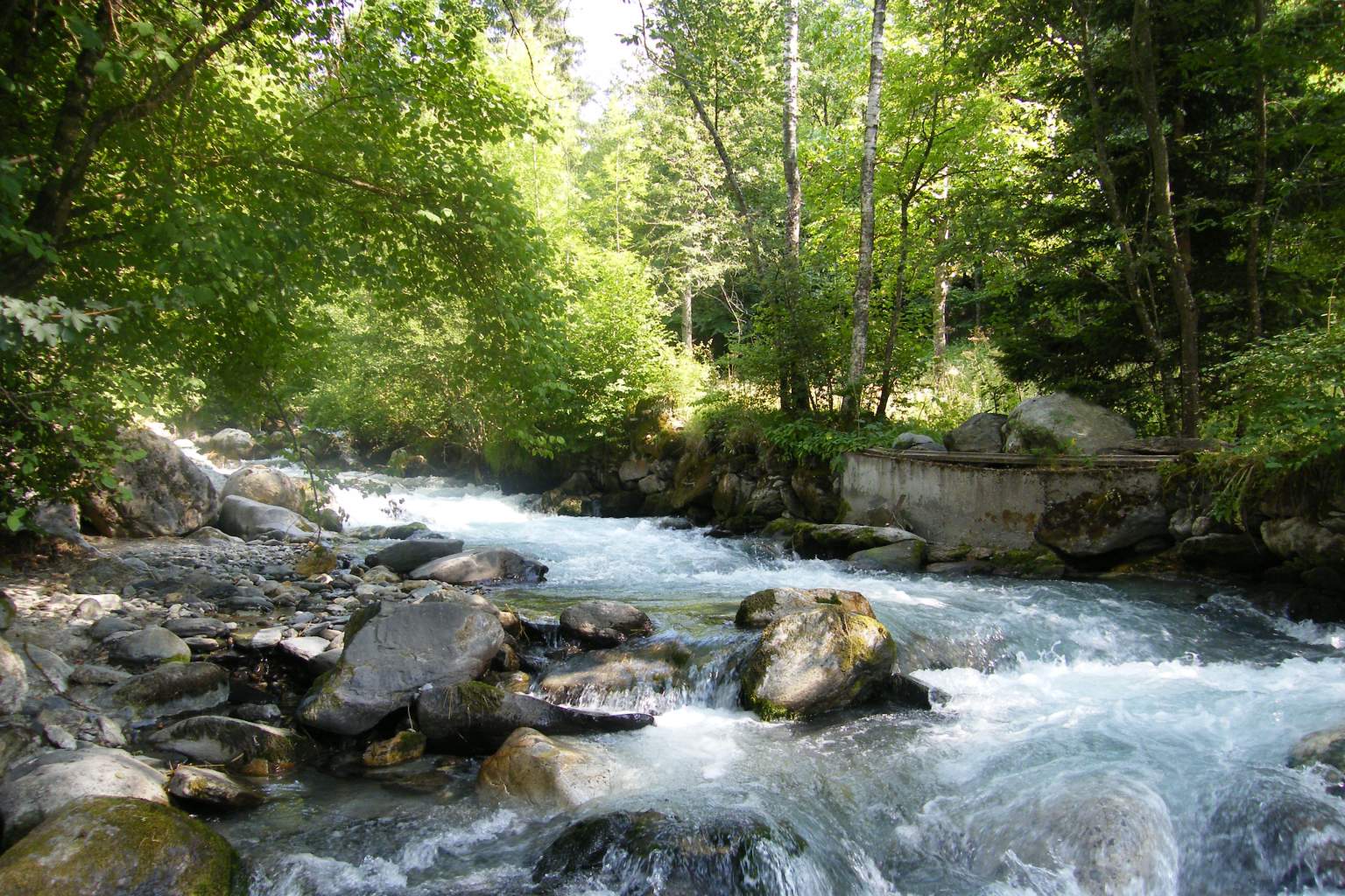 Rivière et verdure près de l'Hôtel Spa L'Alpin à Landry en Savoie