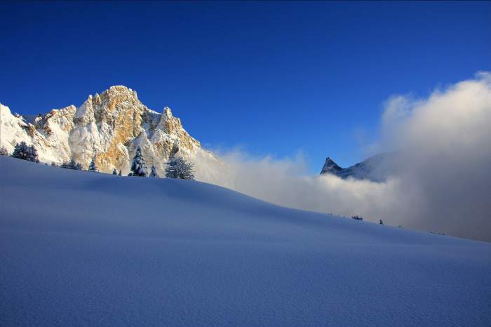  The Hotel Alpin in the Savoy Alps Hotel Restaurant and Spa